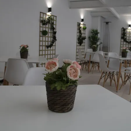 Hotel Alda Orzán 2*