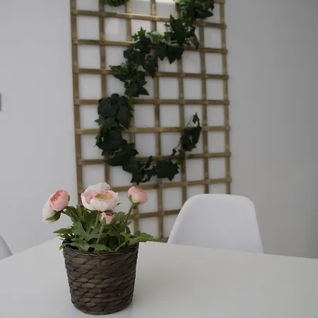 Alda Orzan La Corogne