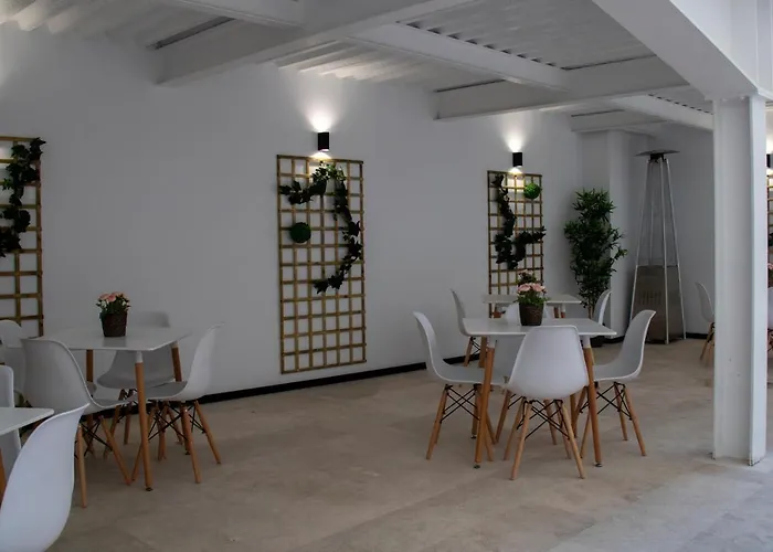 Alda Orzán A Coruña